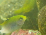 IMGP0113