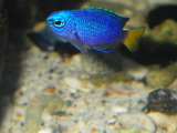 IMGP0023
