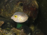 IMGP0351