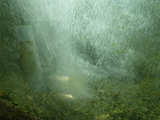 IMGP0277