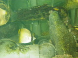 IMGP0086