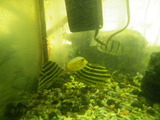 IMGP0881