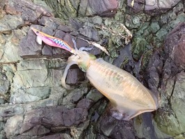 201609091824_IMG_6235