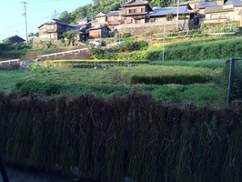 201609091729_IMG_6234