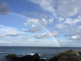 20181006073601_IMG_3041