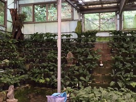 201609091707_IMG_6224