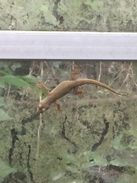 20181007091539_IMG_3053