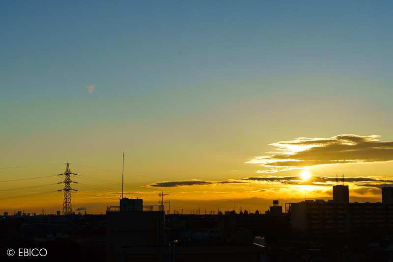 DSC04211