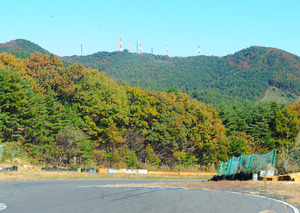 DSC_8419