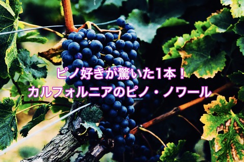 4558B557-FEA4-4C2C-B5B4-9886EBAFCB6B
