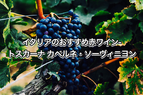 2EE83D2B-AD28-41EB-94D4-3FC30AF40557