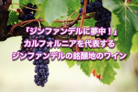 EA8CF89E-5A53-475F-892C-45B9CAD08455