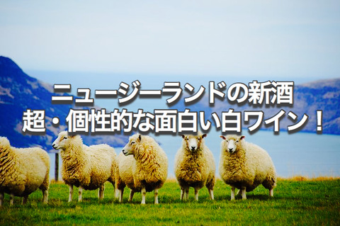 63A09245-808E-44DE-80D6-6A54180BE296