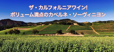 8ED4E244-C4F7-4189-A93B-54F6E3C350FC