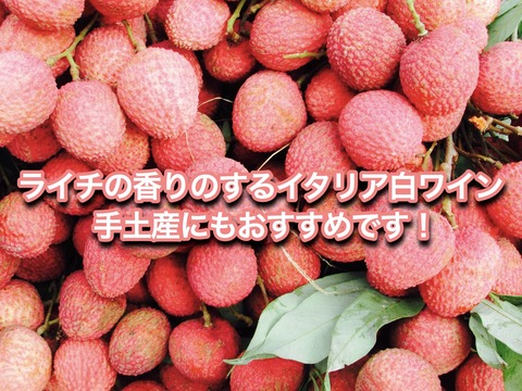 7C869487-04AB-4ABC-A2B0-46FE45739F1F