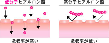 低分子ヒアルロン酸