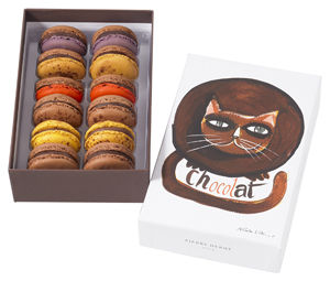 macaron_Chat_Brun