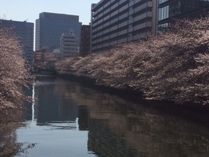 IMG_1914