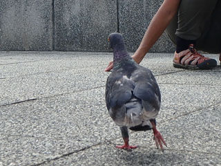P7280061