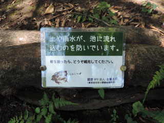 DSCN4104