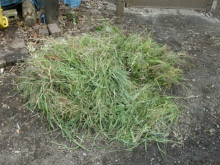 DSCN0334