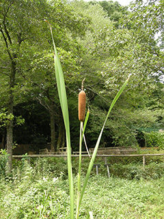 DSCN0438