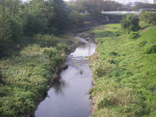 残堀川
