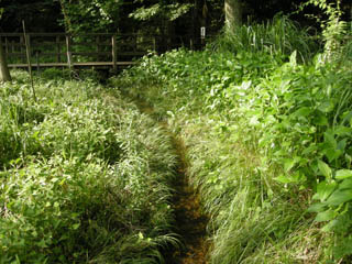 DSCN0322