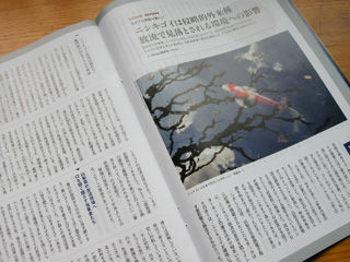 DSCN2765