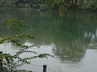P9300014