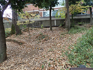 PC110001