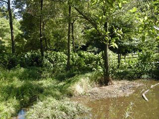 DSCN0420