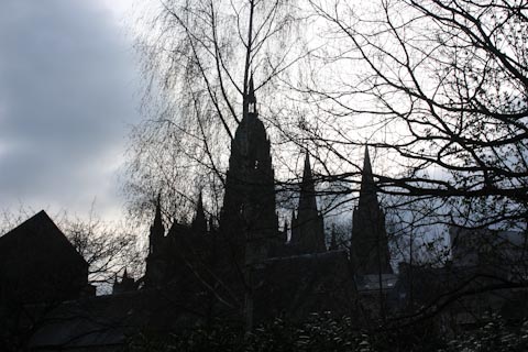 IMG_0531
