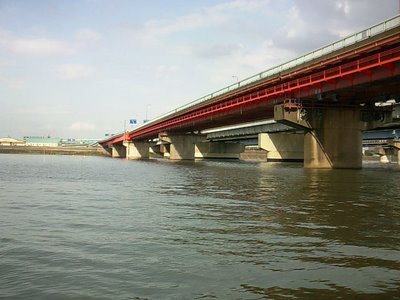 画像-0046