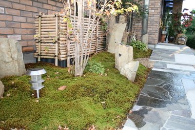 IMG_4058