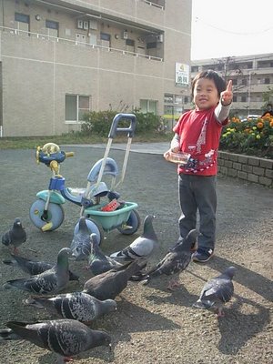 画像-0003