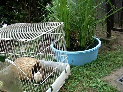 ����-0026