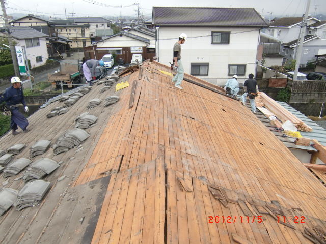 CIMG6567