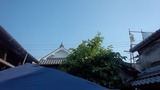 0023d072.jpg
