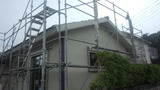 0124262c.jpg