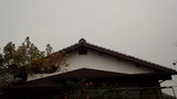 181211_094636