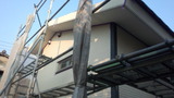 1b8636a3.jpg