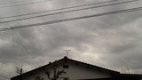 181212_094408