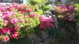 2d349f77.jpg