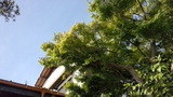 311f2ea1.jpg