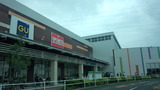 31664817.jpg