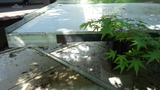 3247d3c1.jpg
