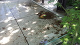 34c90555.jpg