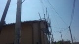 37ec9b0e.jpg