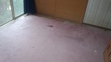 39b5674e.jpg